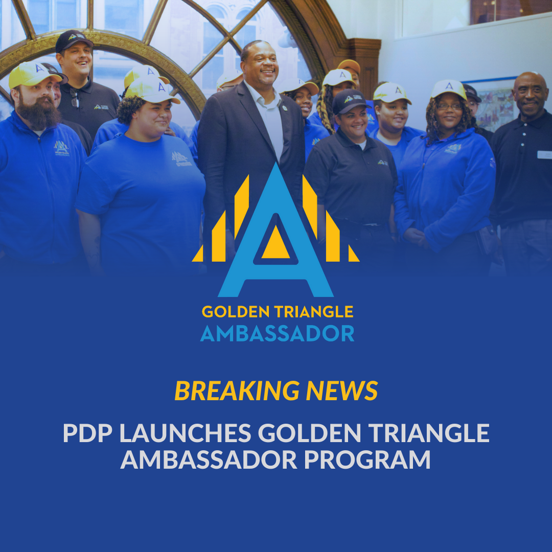 breaking-news-pdp-announces-official-launch-of-golden-triangle