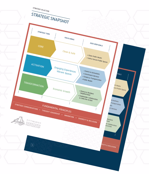 Graphic for the Strategic Snap shot