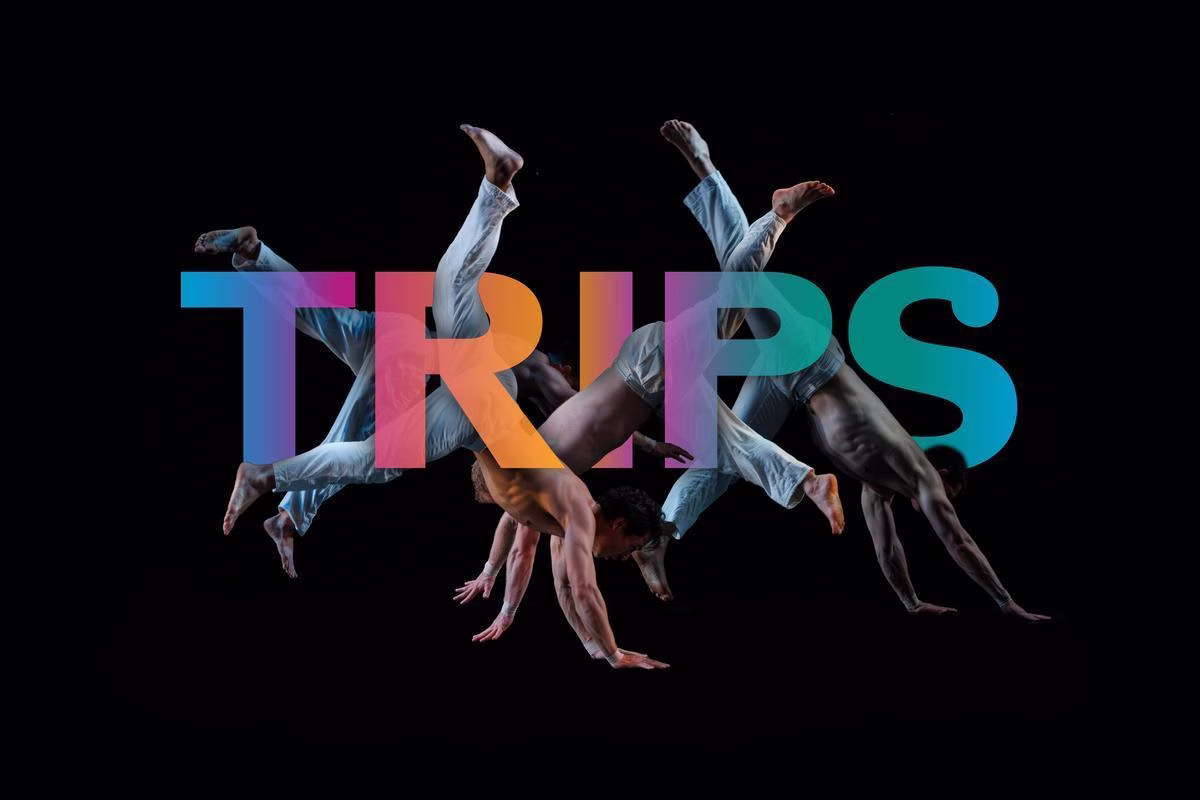 A Graphic for Trips